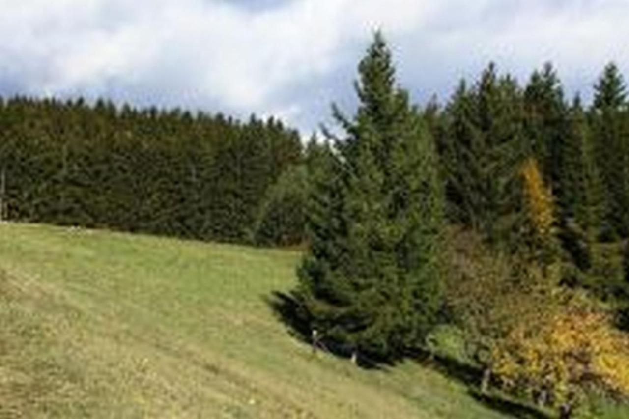 Landgasthof Hauser Immendingen Exterior foto